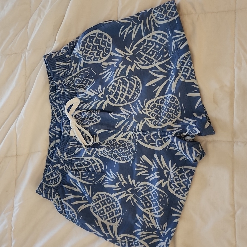 MEN'S CHUBBIES Swim Trunks